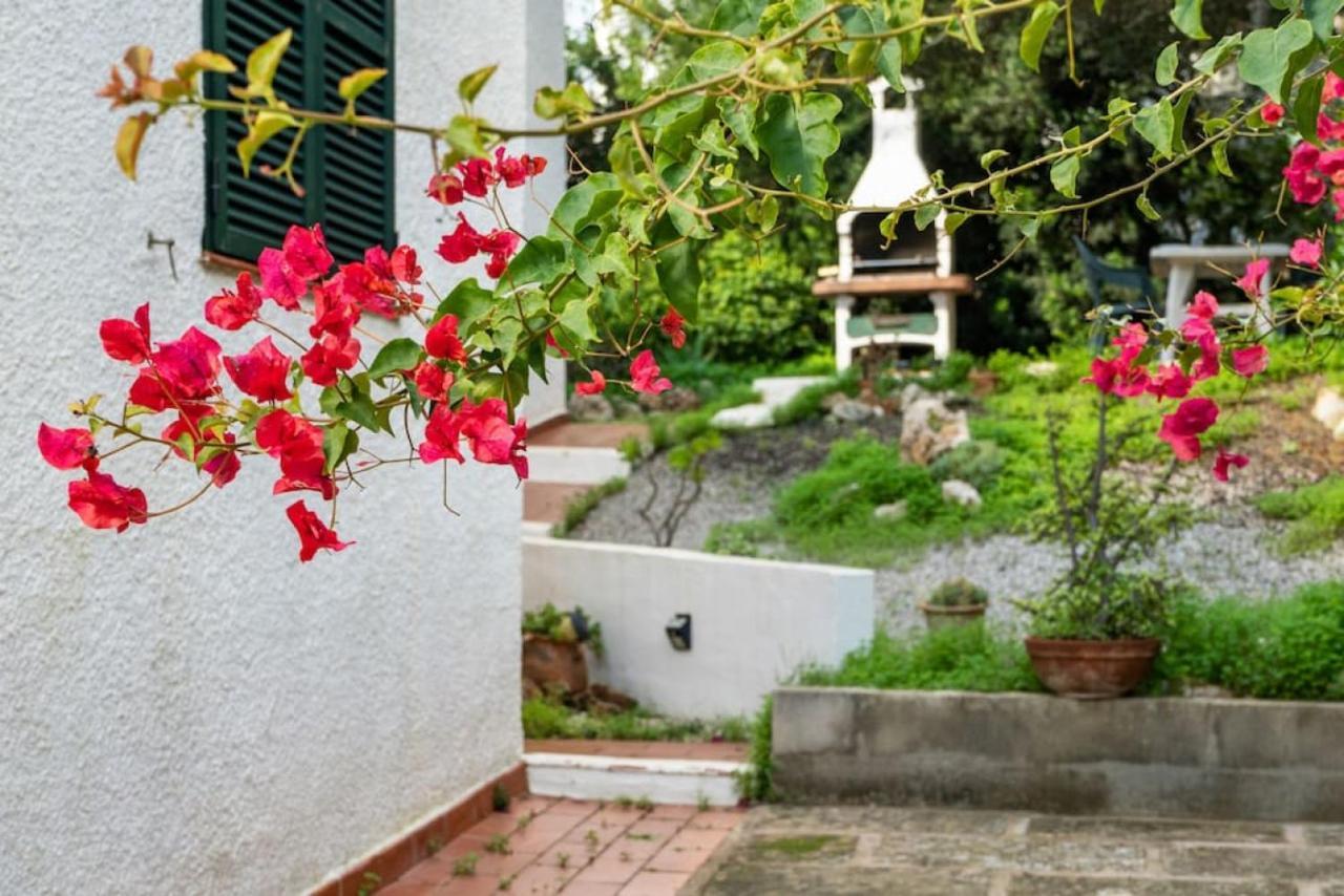 Apartamento Cap Roig Binibeca Εξωτερικό φωτογραφία